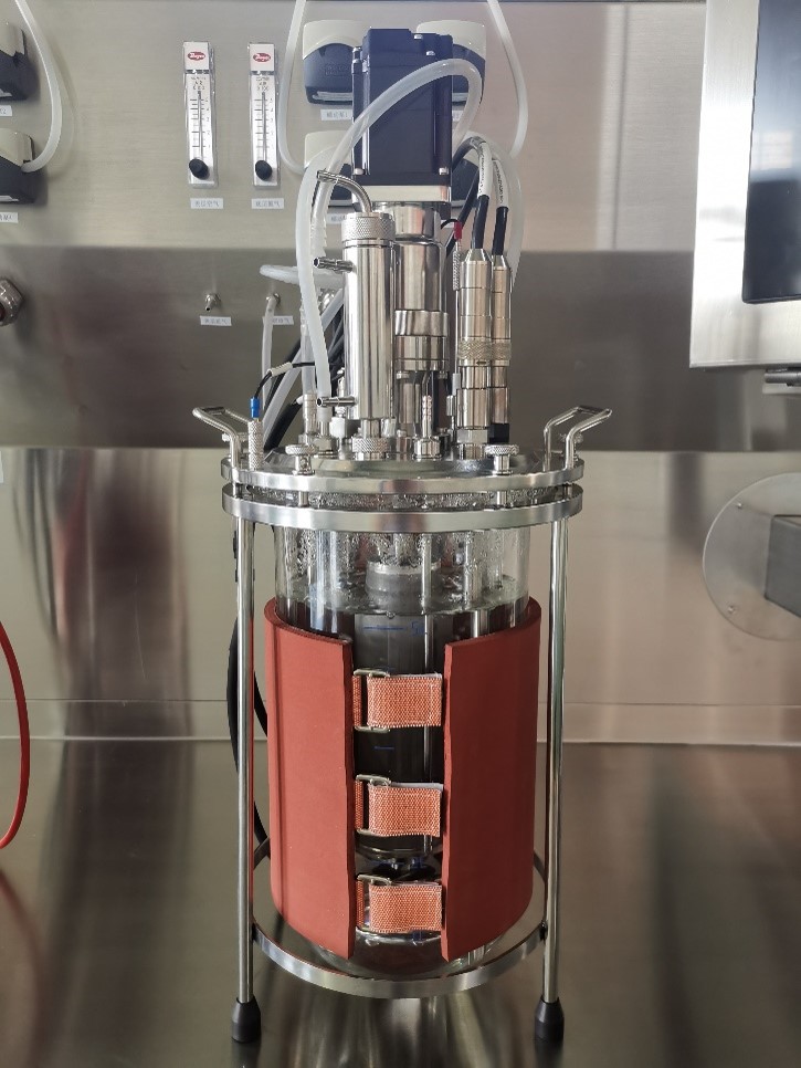 生物反应器